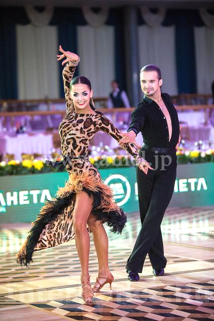 AL6553・【SIRIUS】レオパード&黒