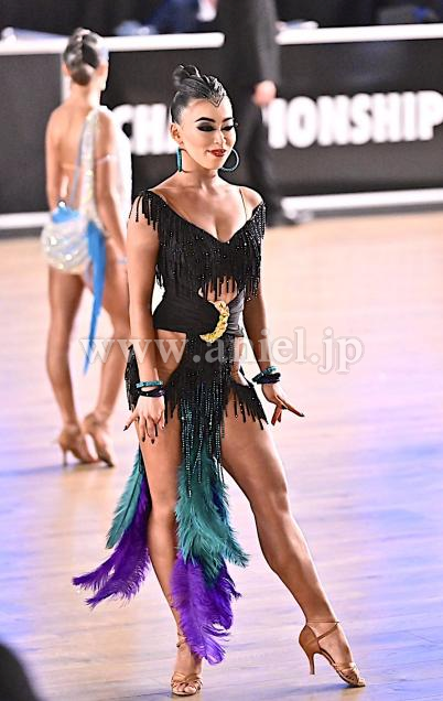 L7444・【FB international】黒&緑&紫