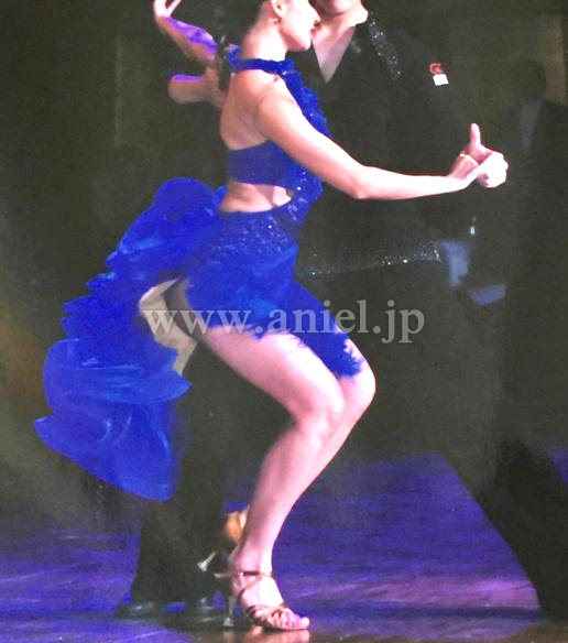 L3645・ロイヤルブルー