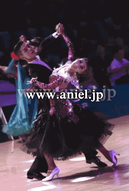 M3229・赤豹柄&黒羽根　試着不可