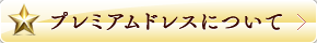 プレミアムドレスについて